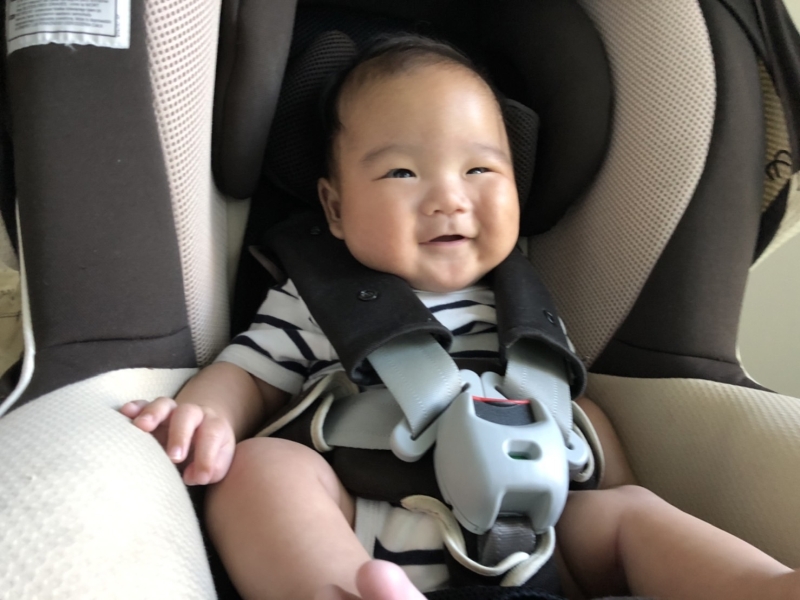 車椅子の第二の人生 | 里親さんを探します | セカンドライフ