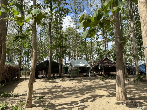 ミャンマーレポート ２ IDPキャンプ　木陰に家が並んでいます