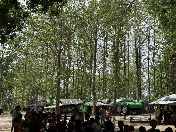 ミャンマーレポート  IDPキャンプは緑がいっぱいの林の中にあり、涼しくて快適です