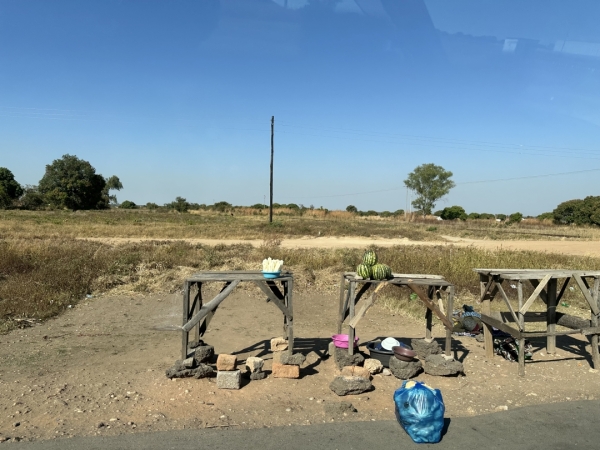 世界難民の日 in ザンビア メヘバへの道 道端には、近くの農家が簡単な店を出しています