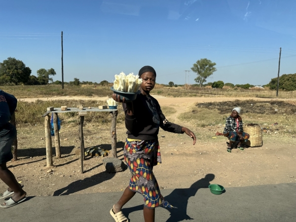 世界難民の日 in ザンビア メヘバへの道 地元の野菜を売る人々