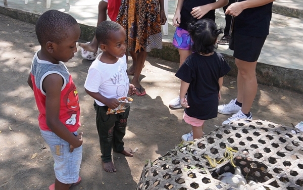 タンザニアの孤児院 サラハウス 連れて来られた鶏に興味津々の子供達