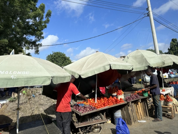 タンザニアのローカル市場 市場の外には小売りの小さい店が沢山あります