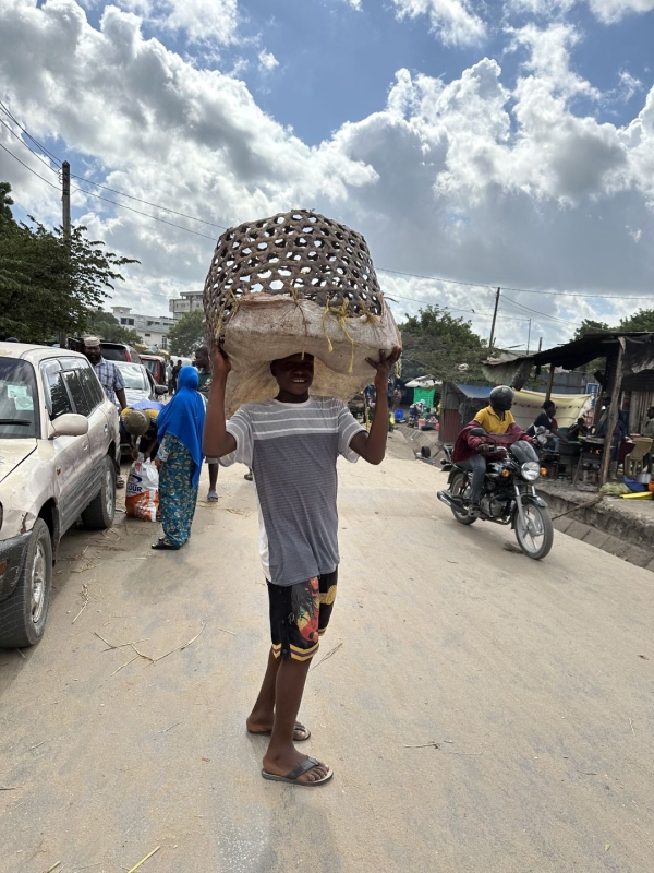 タンザニアのローカル市場 購入した鶏を運んでくれる市場の男の子