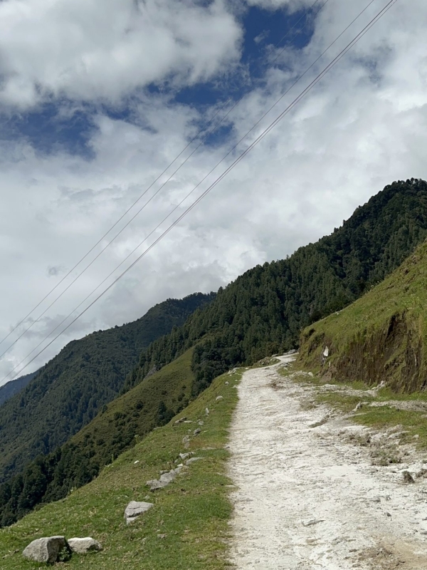 山際を上り続けます。<br class=sp_only>整備された道はありません。