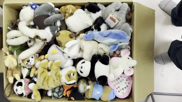 寄付するぬいぐるみです。