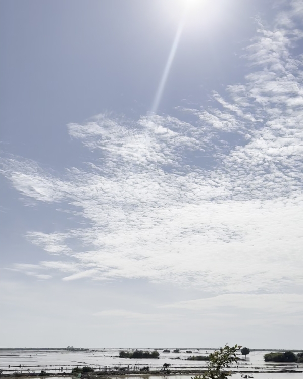 田園風景の広がる見通しの良い道を<br class=sp_only>湖に向かって進みます