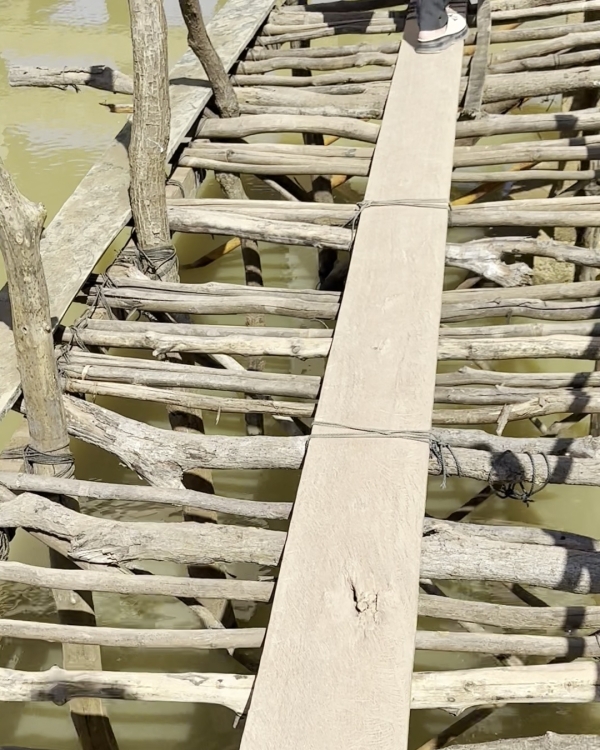 浮橋を近くで見た写真です<br class=sp_only>慣れてないと結構怖いです