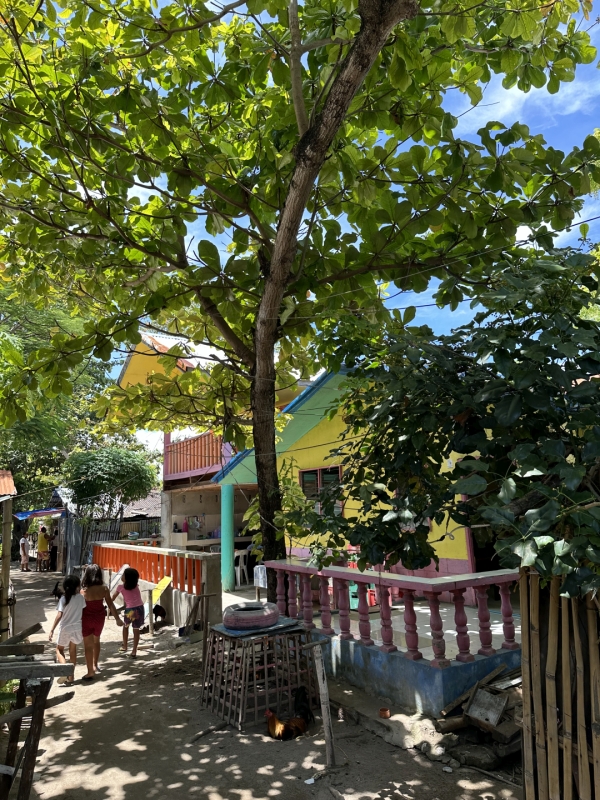 島全体が、背の高い木に覆われていて、涼しい木陰が沢山あります