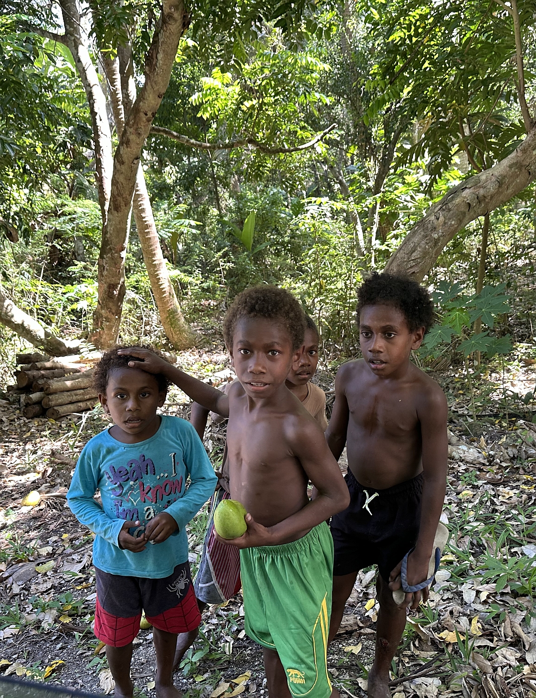 No 593 ミクロネシア、ポリネシア、メアネシアの違いについて