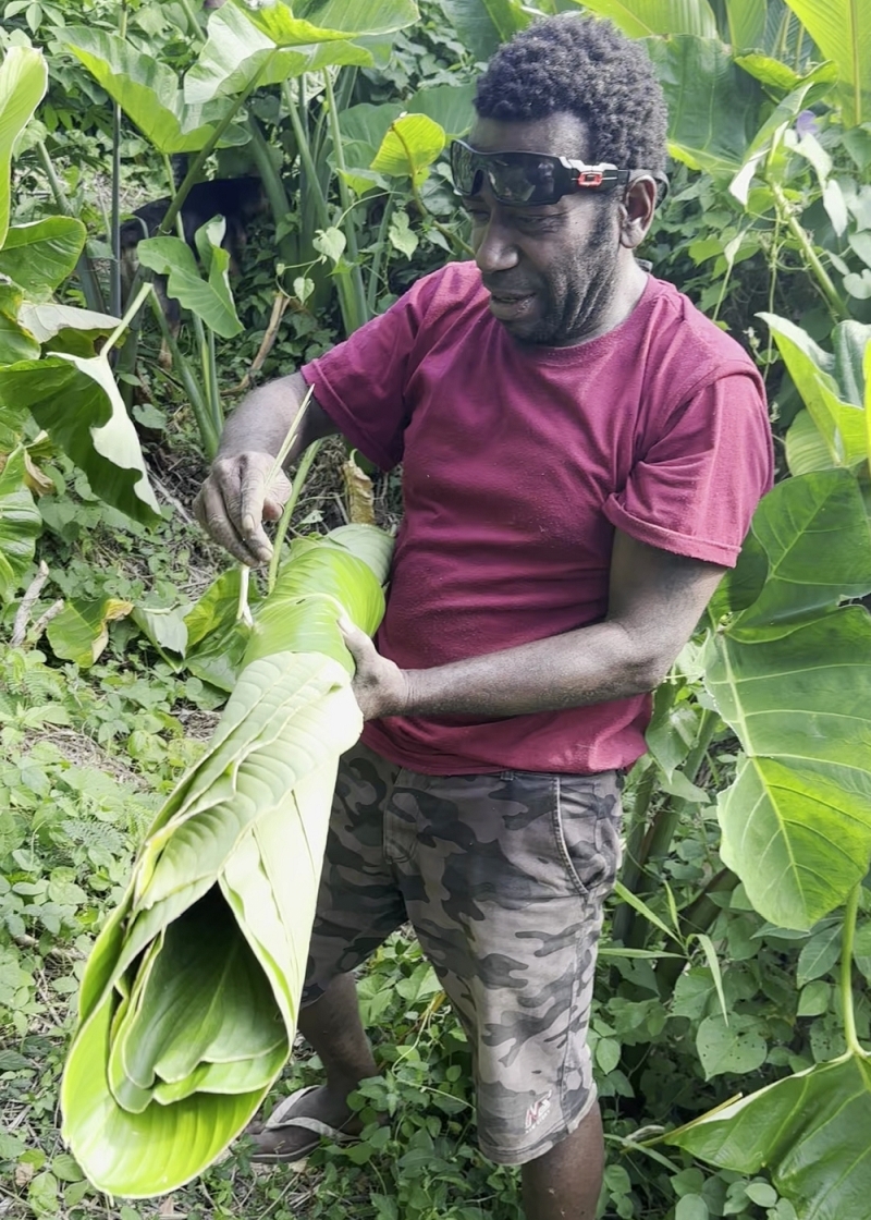 バヌアツの主な輸出品は、農作物です。