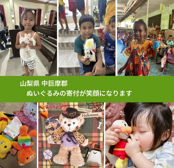 山梨県 中巨摩郡 で、安心してぬいぐるみを寄付できます。ワクチン募金にもなります