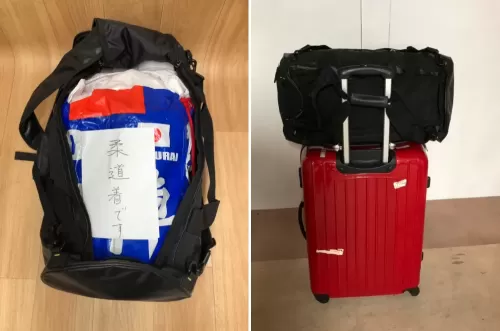 ボストンバッグやスーツケースなど、運びやすくて機内に持ち込めるサイズのカバンを用意します